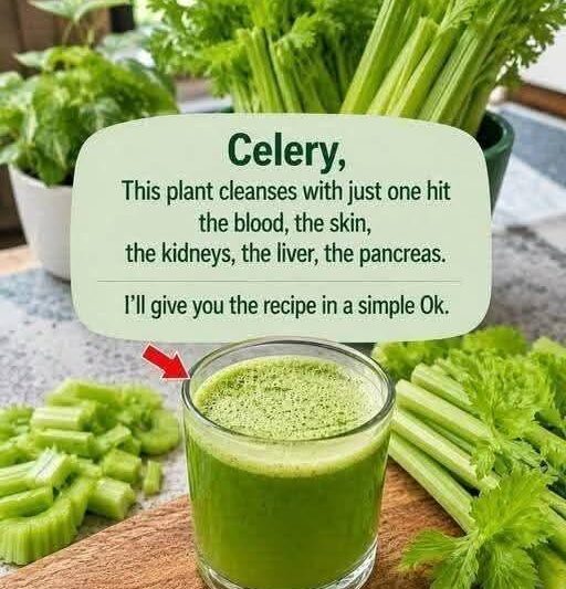 Fresh Celery Juice Recipe with Lemon and Cucumber