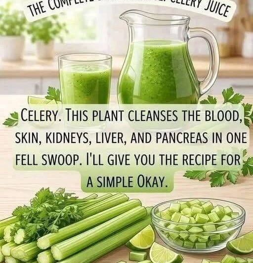 Refreshing Celery Cucumber Green Juice Recipe for a Low-Carb Lifestyle