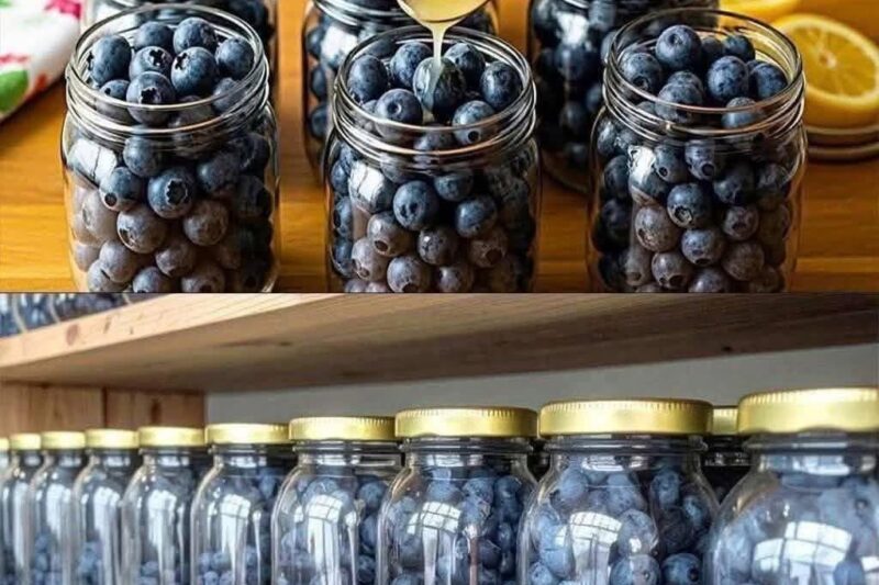 How to Preserve Fresh Blueberries in Glass Jars for Long-Term Storage
